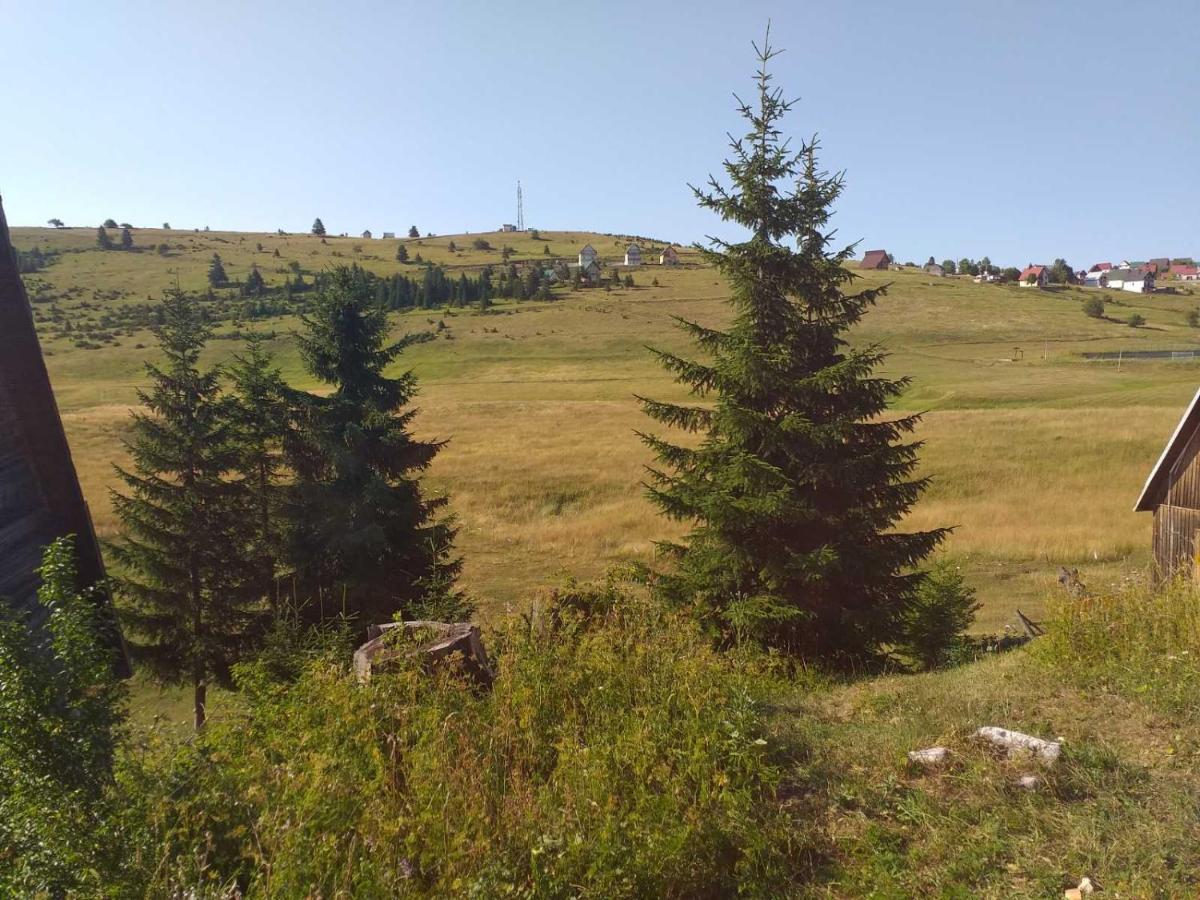 Апартаменты Durmitor Жабляк Экстерьер фото